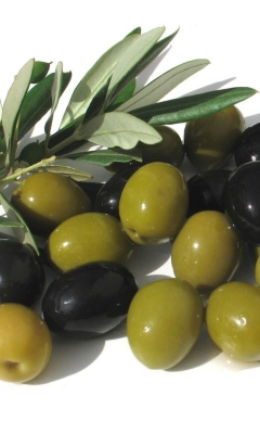 Обои Olives 240x400