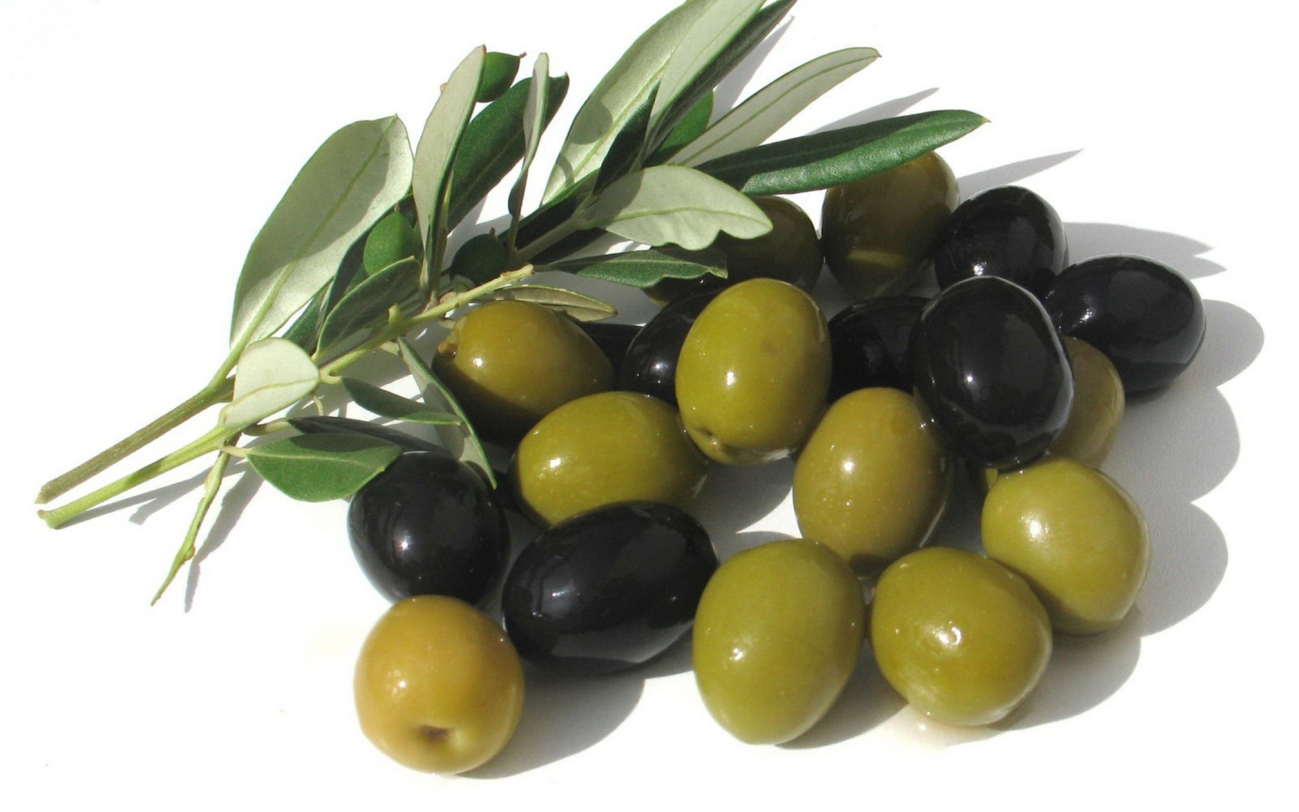 Fondo de pantalla Olives 2560x1600