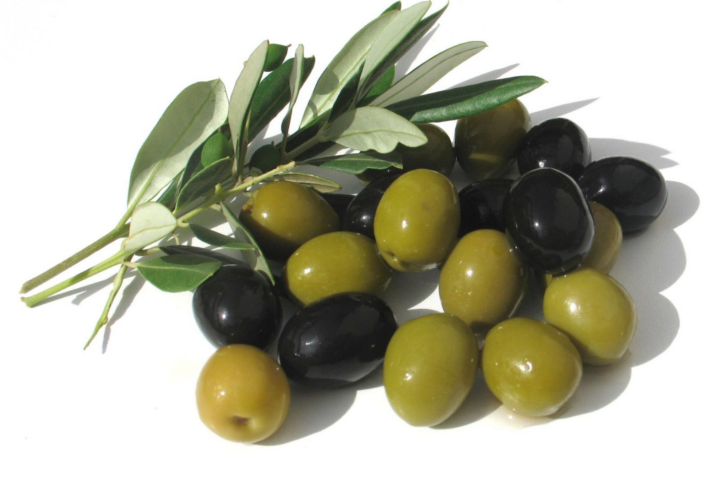 Olives screenshot #1 2880x1920