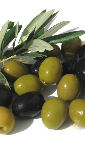 Olives wallpaper 360x640