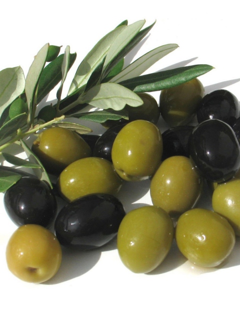 Olives wallpaper 480x640
