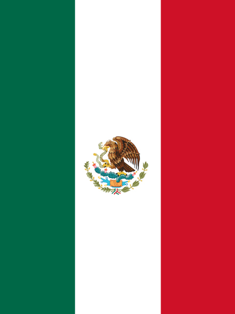 Das Mexican Flag Wallpaper 480x640