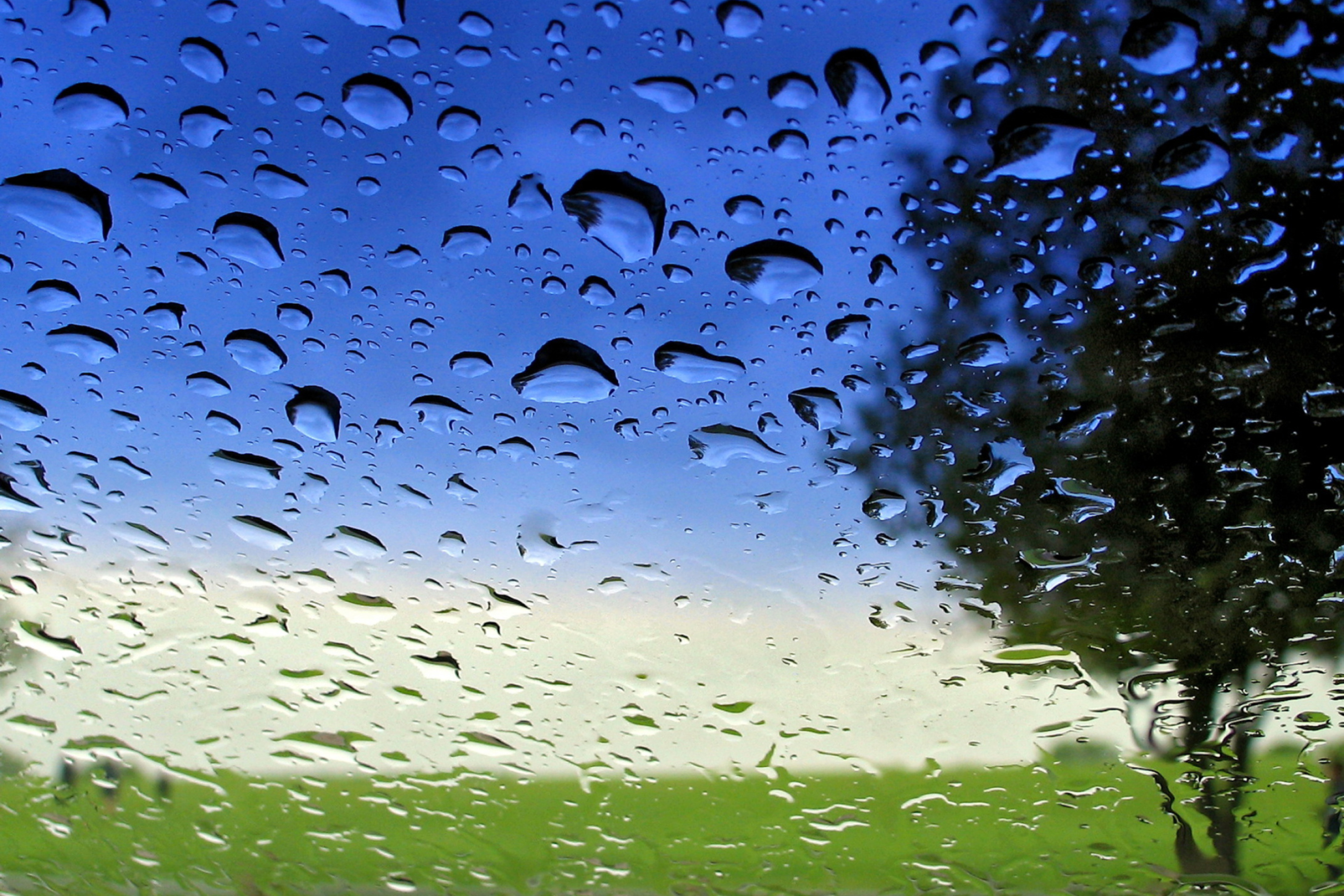Картинка капли дождя. Капли дождя. Капли на стекле. Дождь фон. Обои дождь.