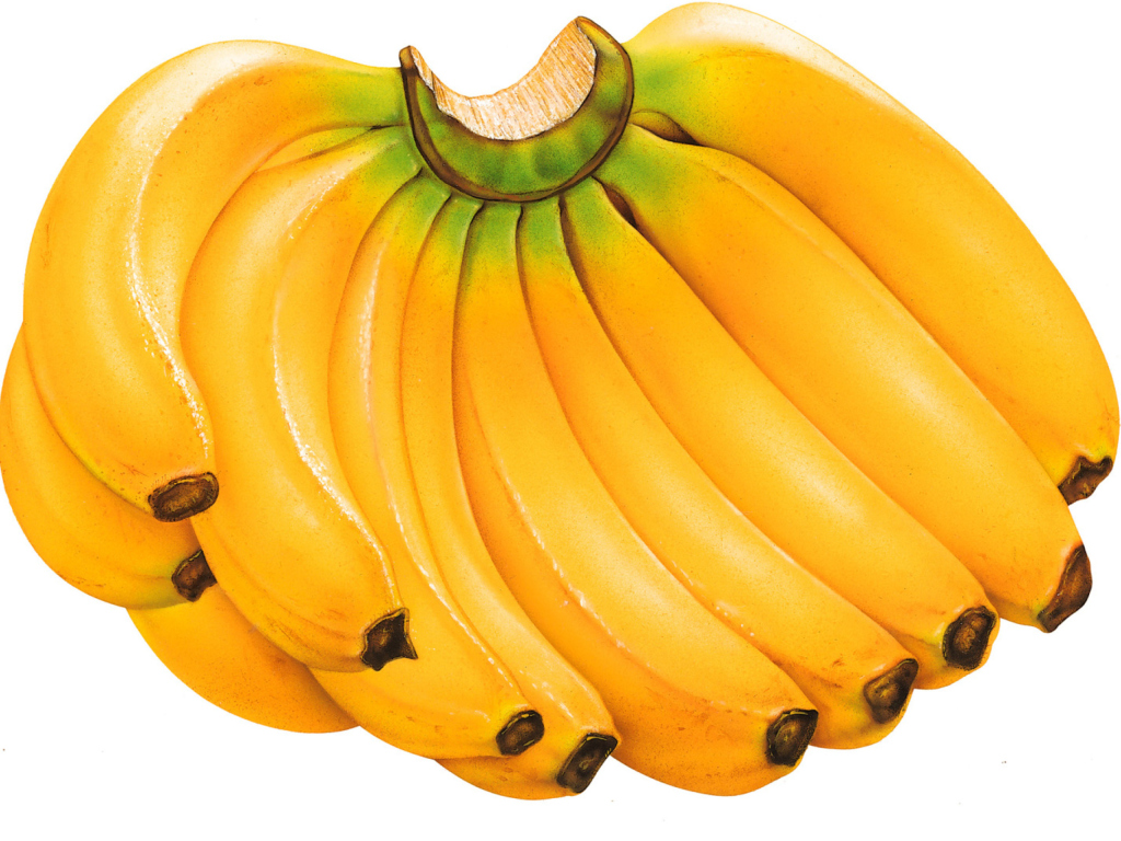 Sweet Bananas wallpaper 1024x768