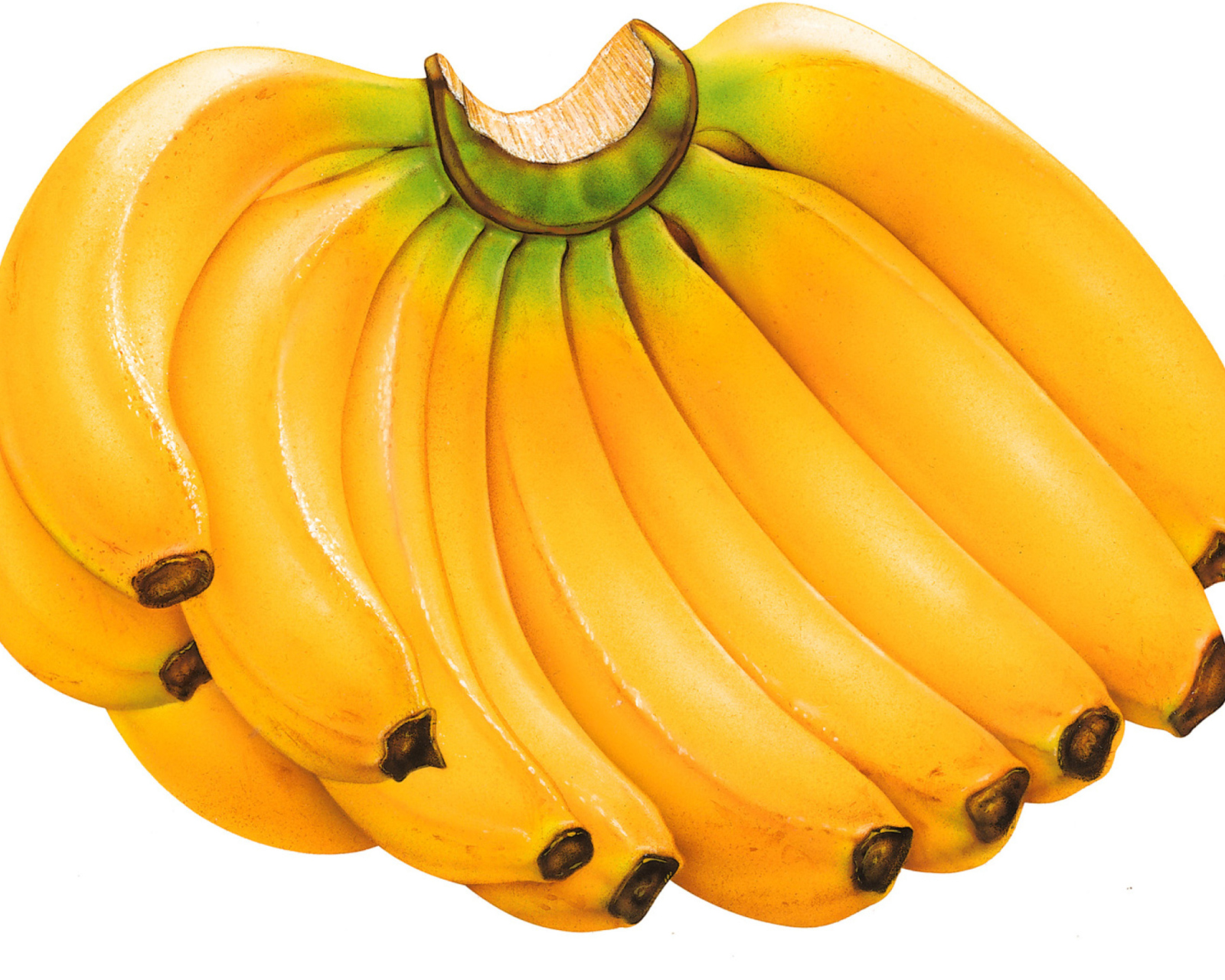 Обои Sweet Bananas 1600x1280