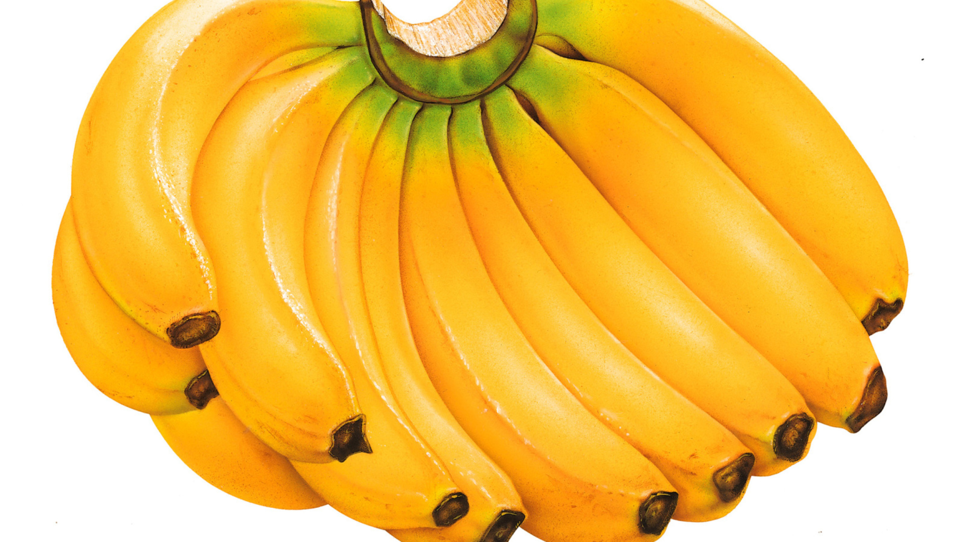 Sweet Bananas wallpaper 1920x1080