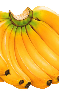 Das Sweet Bananas Wallpaper 240x400