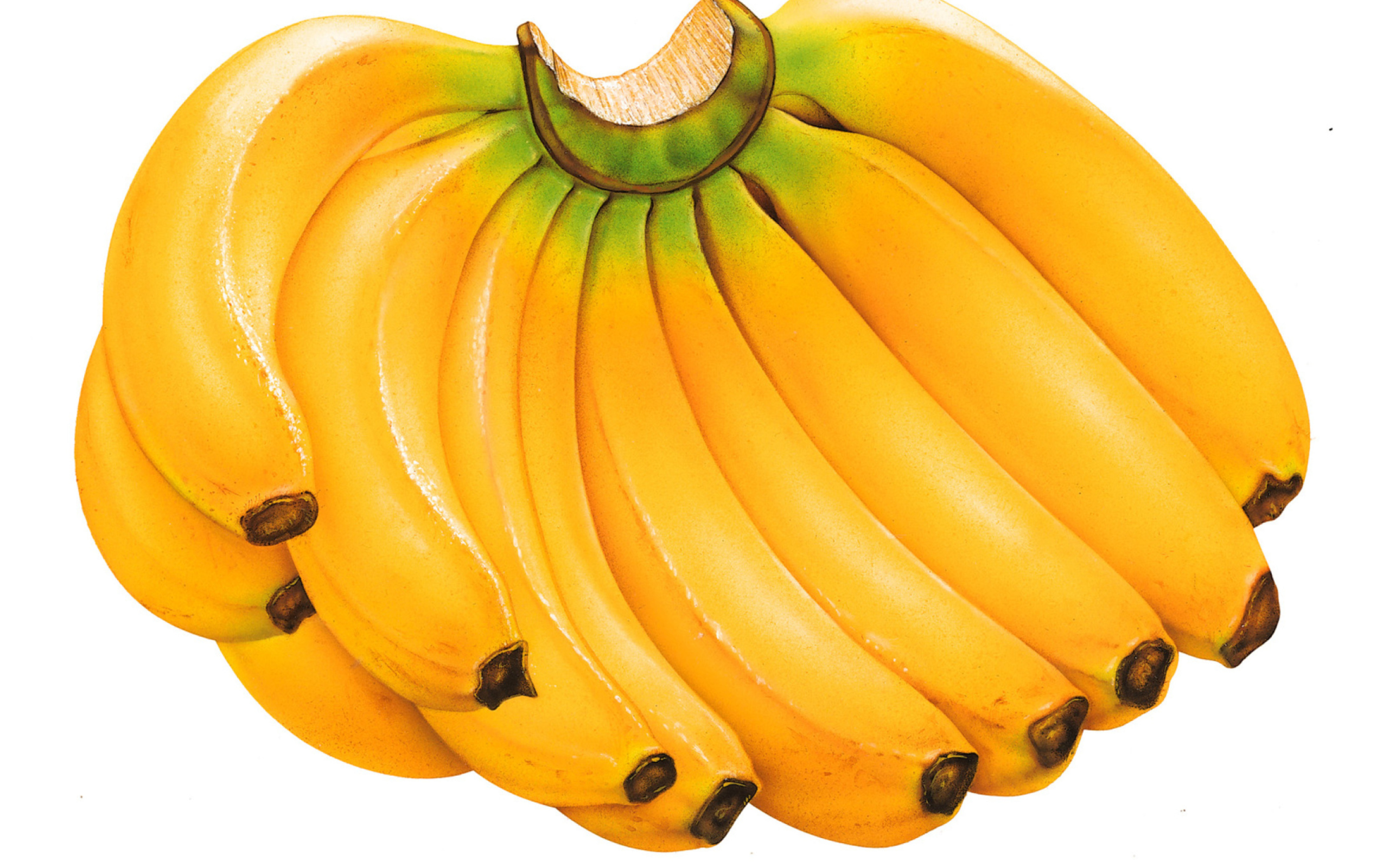 Fondo de pantalla Sweet Bananas 2560x1600