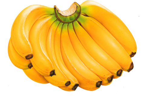 Обои Sweet Bananas 480x320