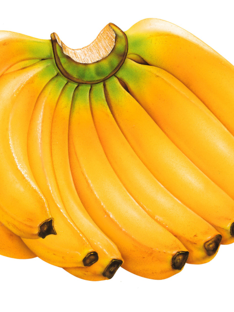 Sfondi Sweet Bananas 480x640