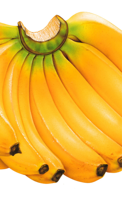 Das Sweet Bananas Wallpaper 480x800