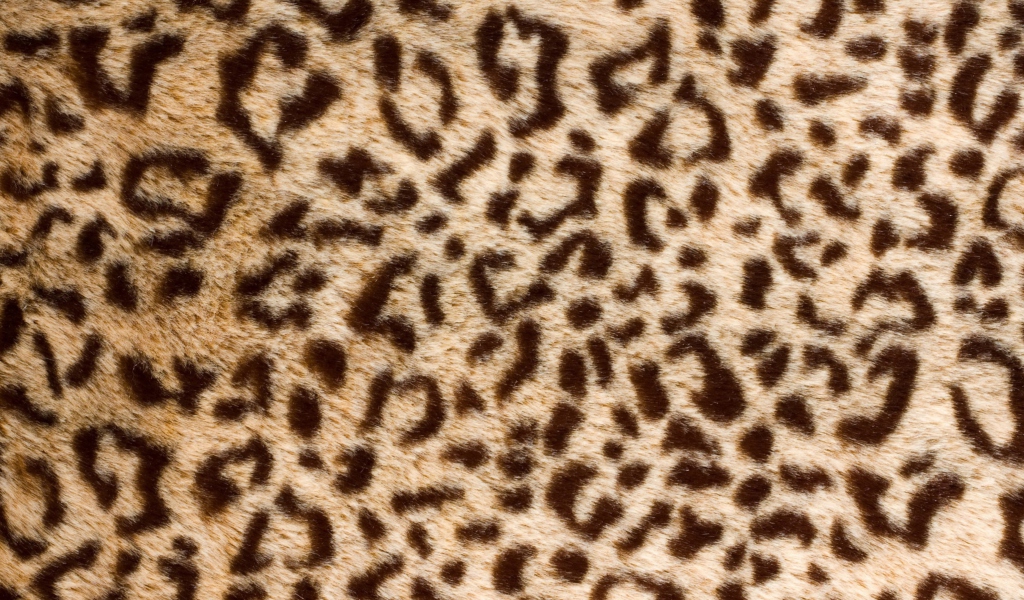 Das Leo Fur Wallpaper 1024x600