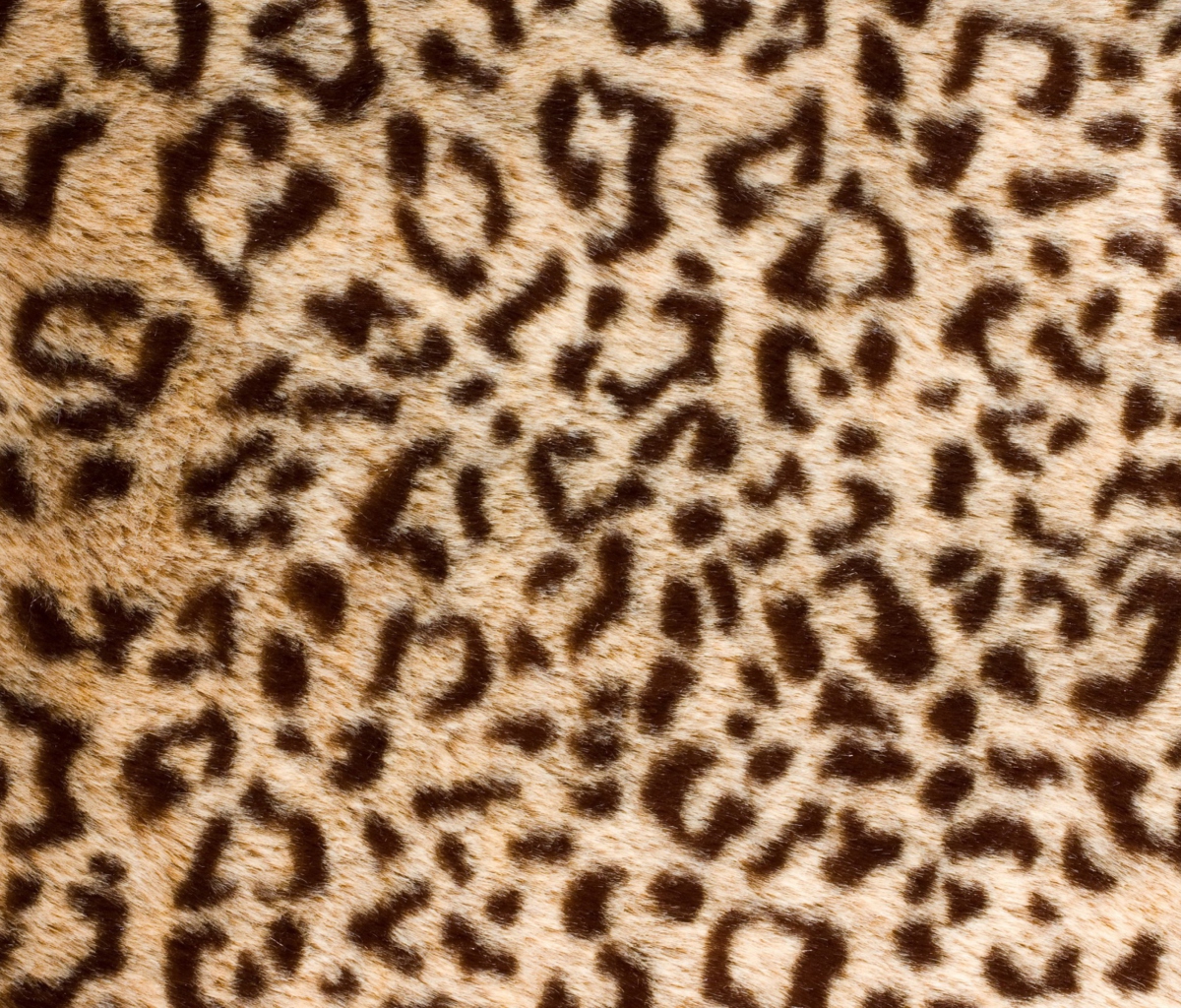 Das Leo Fur Wallpaper 1200x1024