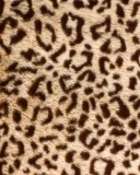 Leo Fur wallpaper 128x160