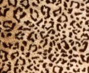 Das Leo Fur Wallpaper 176x144