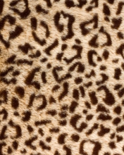Das Leo Fur Wallpaper 176x220