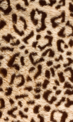 Das Leo Fur Wallpaper 240x400