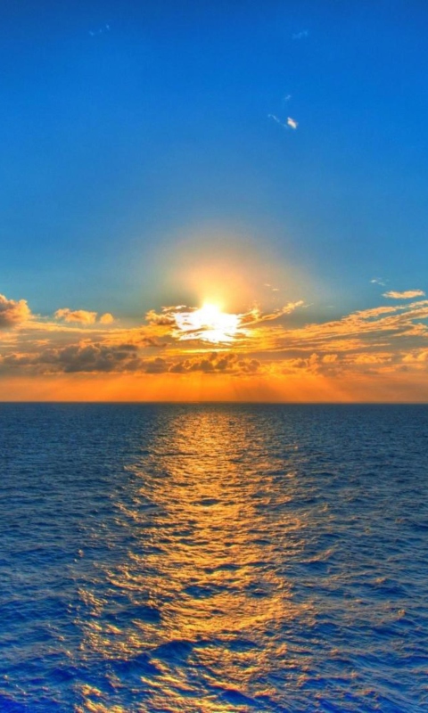 Обои Summer Sea Sunset 480x800