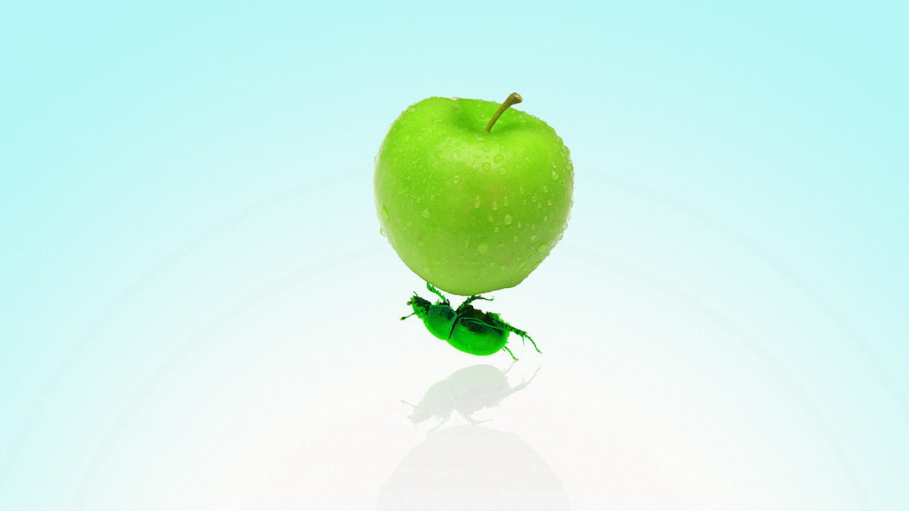 Apple And Bug screenshot #1 1280x720