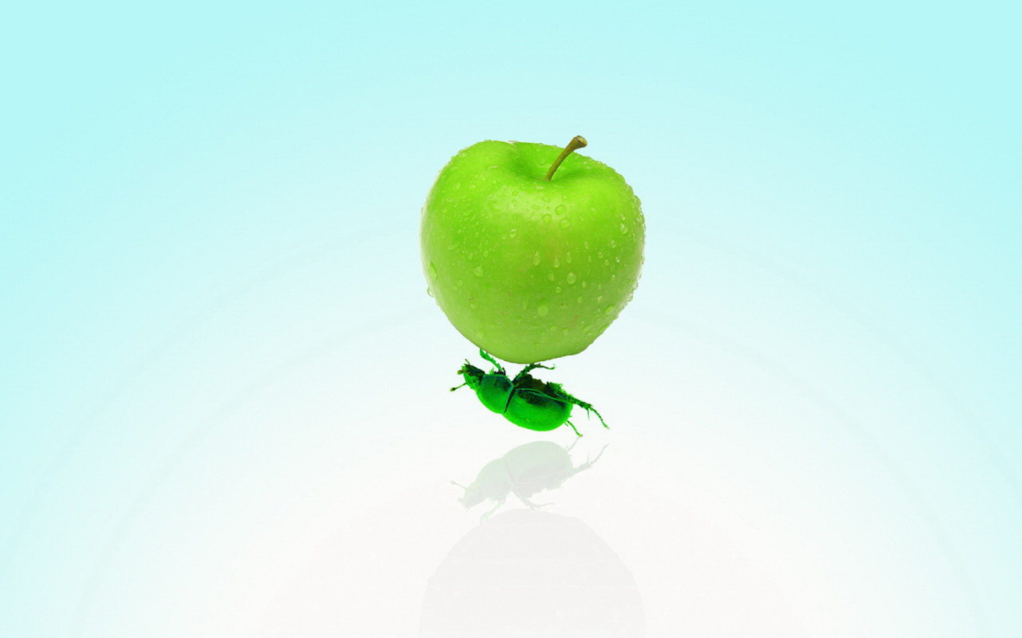 Fondo de pantalla Apple And Bug 1440x900