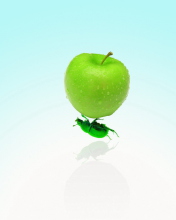 Apple And Bug screenshot #1 176x220
