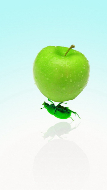 Обои Apple And Bug 360x640