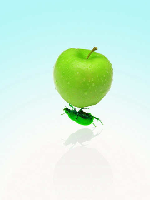 Apple And Bug wallpaper 480x640