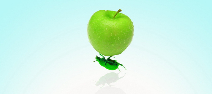 Apple And Bug screenshot #1 720x320