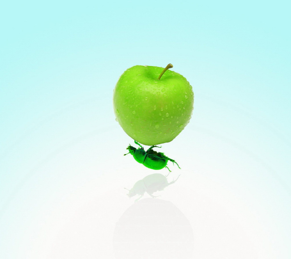 Apple And Bug screenshot #1 960x854