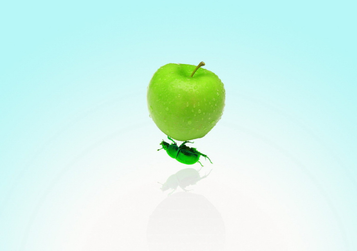 Обои Apple And Bug