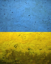 Fondo de pantalla Ukraine Flag 176x220