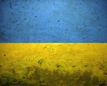 Ukraine Flag screenshot #1 220x176