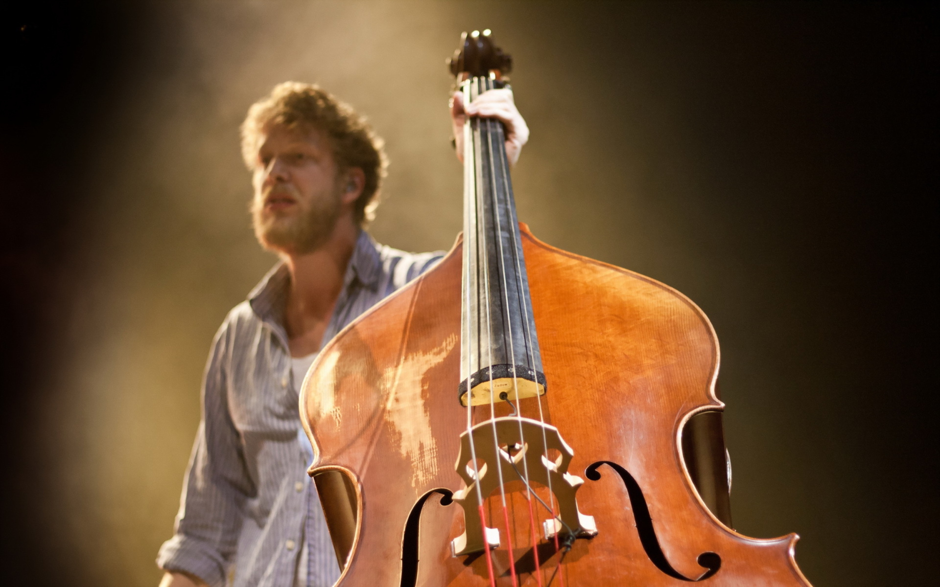 Man With Contrabass wallpaper 1920x1200