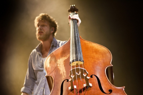 Man With Contrabass wallpaper 480x320