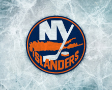 Das New York Islanders Wallpaper 220x176