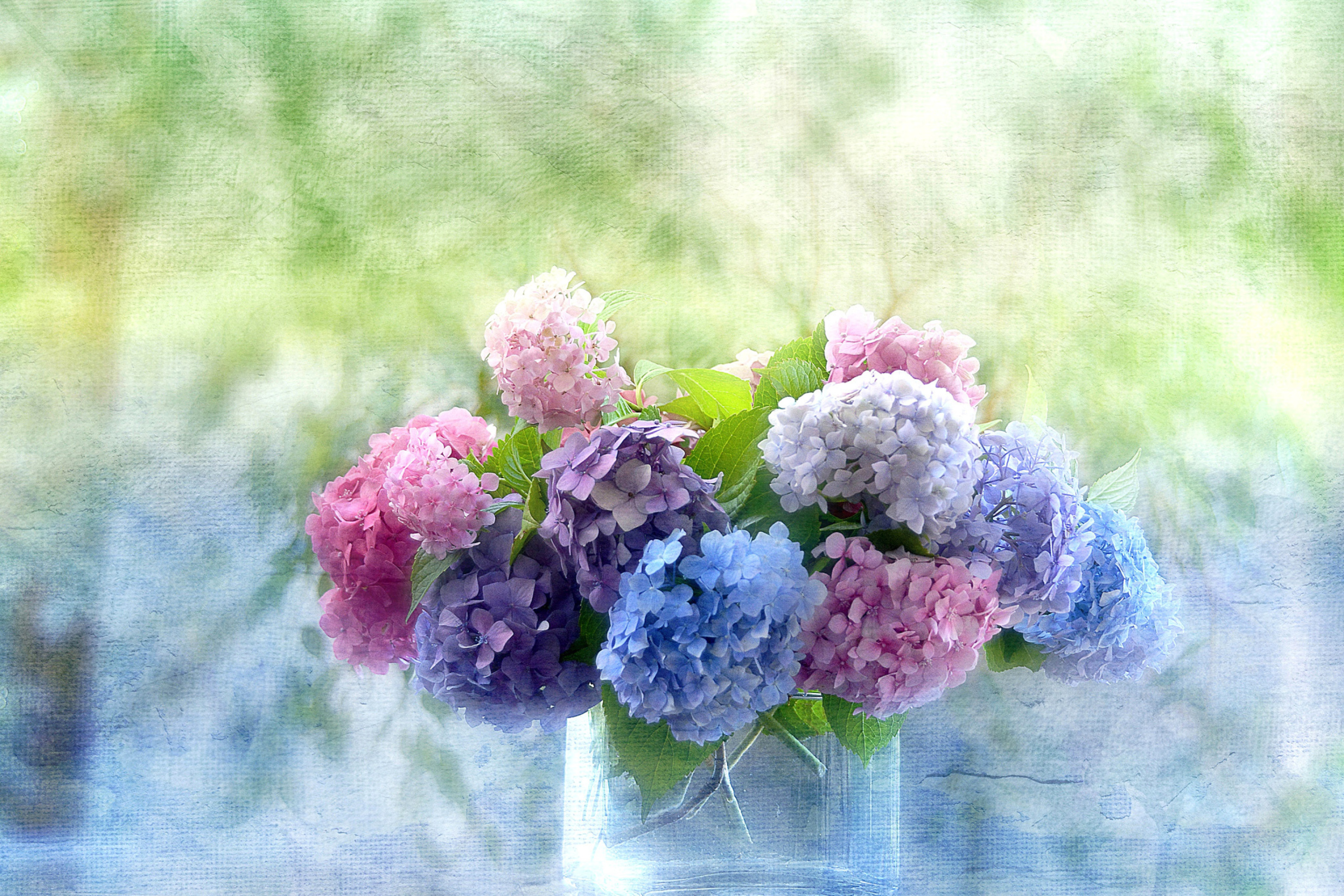 Fondo de pantalla Hydrangeas 2880x1920