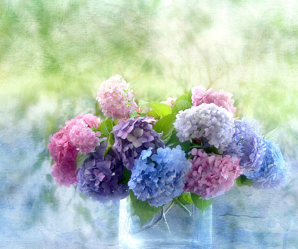 Screenshot №1 pro téma Hydrangeas 960x800