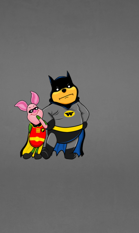 Fondo de pantalla Batman And Robin 480x800