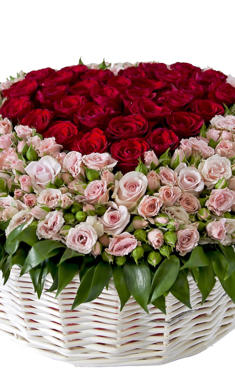 Das Basket of Roses from Florist Wallpaper 480x800