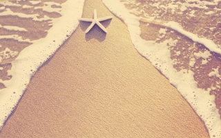 Kostenloses Sea-Star On Sand Wallpaper für Android, iPhone und iPad