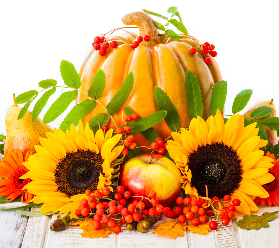 Das Harvest Pumpkin and Sunflowers Wallpaper 1080x960
