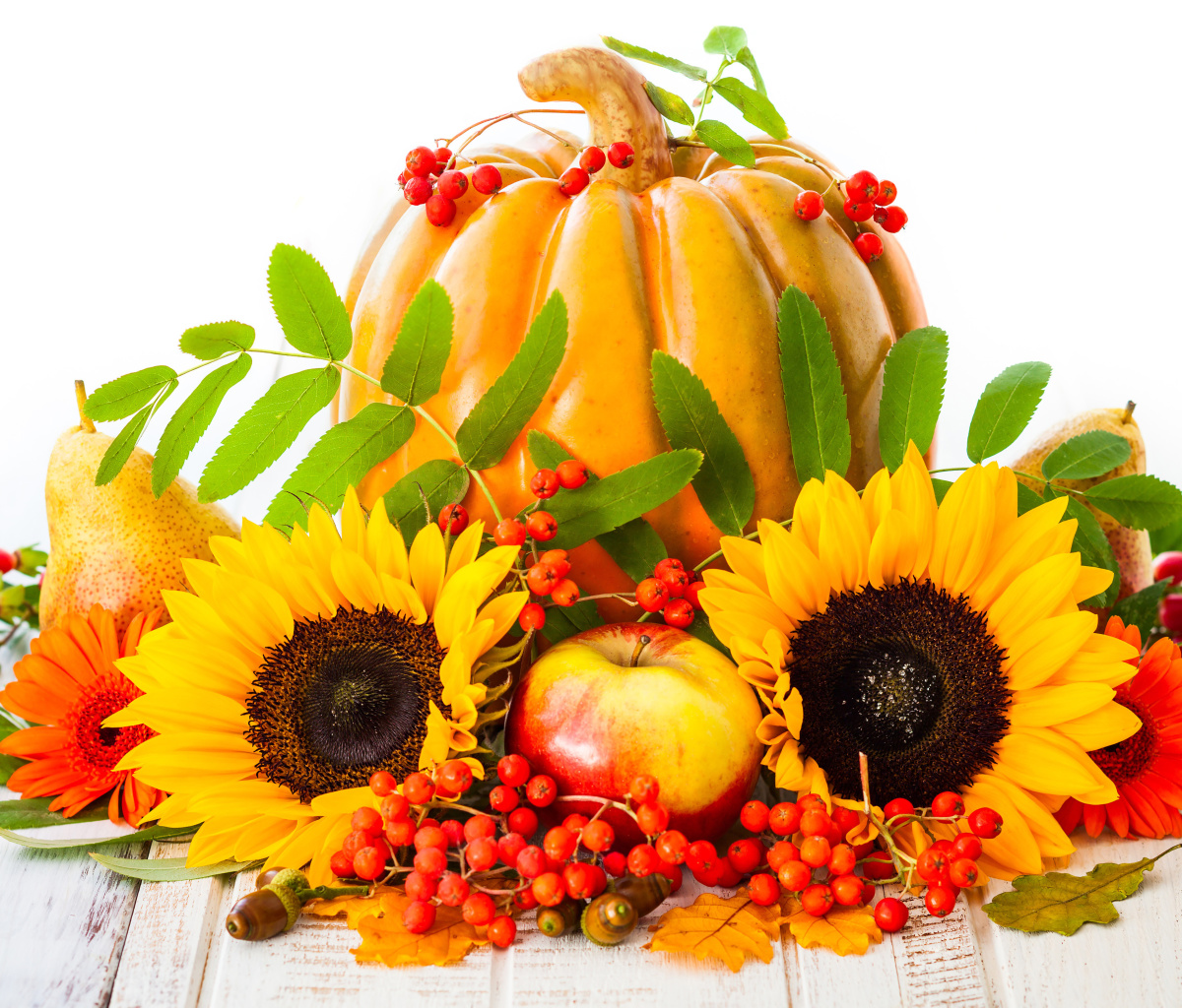 Das Harvest Pumpkin and Sunflowers Wallpaper 1200x1024