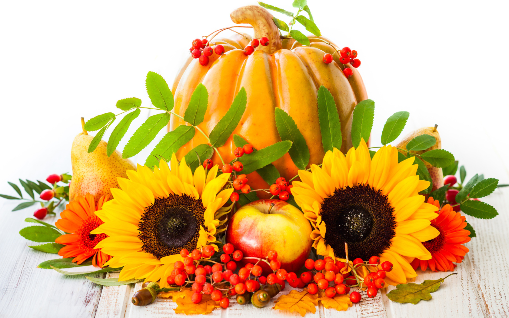 Das Harvest Pumpkin and Sunflowers Wallpaper 1680x1050