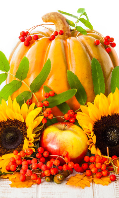 Sfondi Harvest Pumpkin and Sunflowers 240x400