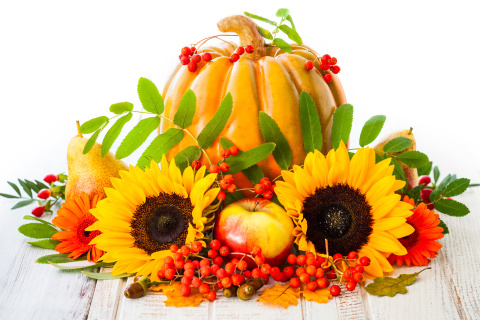 Fondo de pantalla Harvest Pumpkin and Sunflowers 480x320