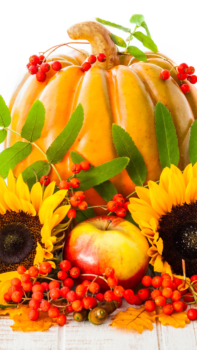 Das Harvest Pumpkin and Sunflowers Wallpaper 640x1136