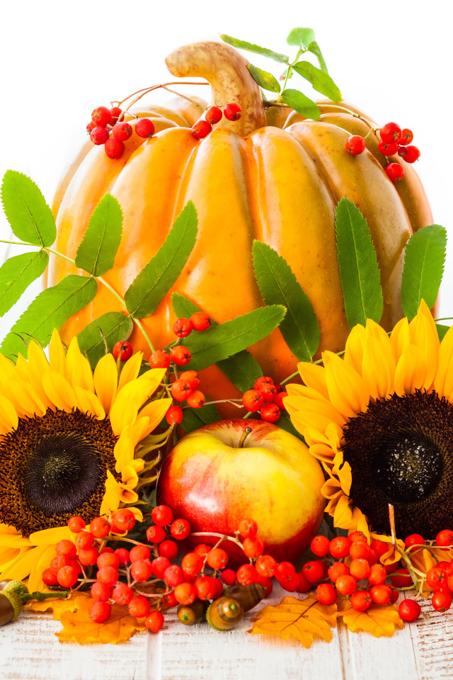 Обои Harvest Pumpkin and Sunflowers 640x960