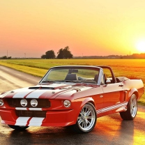 1965 Ford Mustang Convertible screenshot #1 208x208