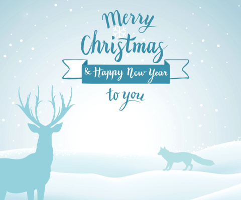 Das Merry Christmas and Happy New Year Wallpaper 480x400