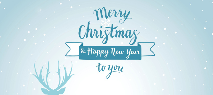 Sfondi Merry Christmas and Happy New Year 720x320
